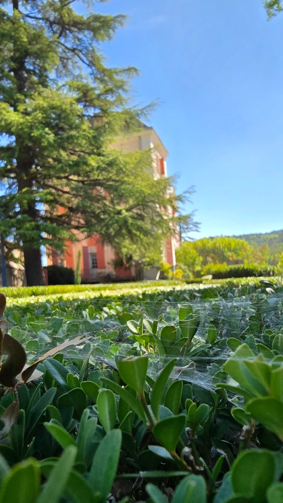 Journées du patrimoine 2025 - Château de Malijai